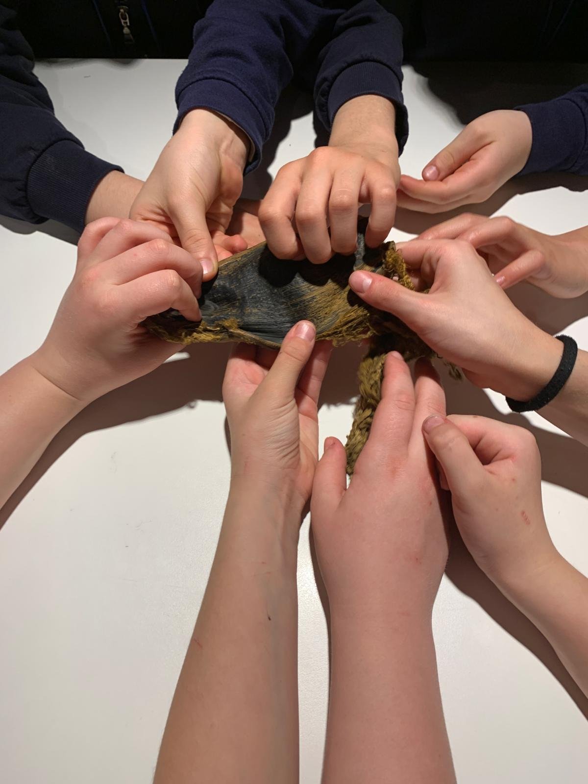 Esperienza sensoriale durante attività didattica all’Acquario di Genova scuola primaria Pianezza