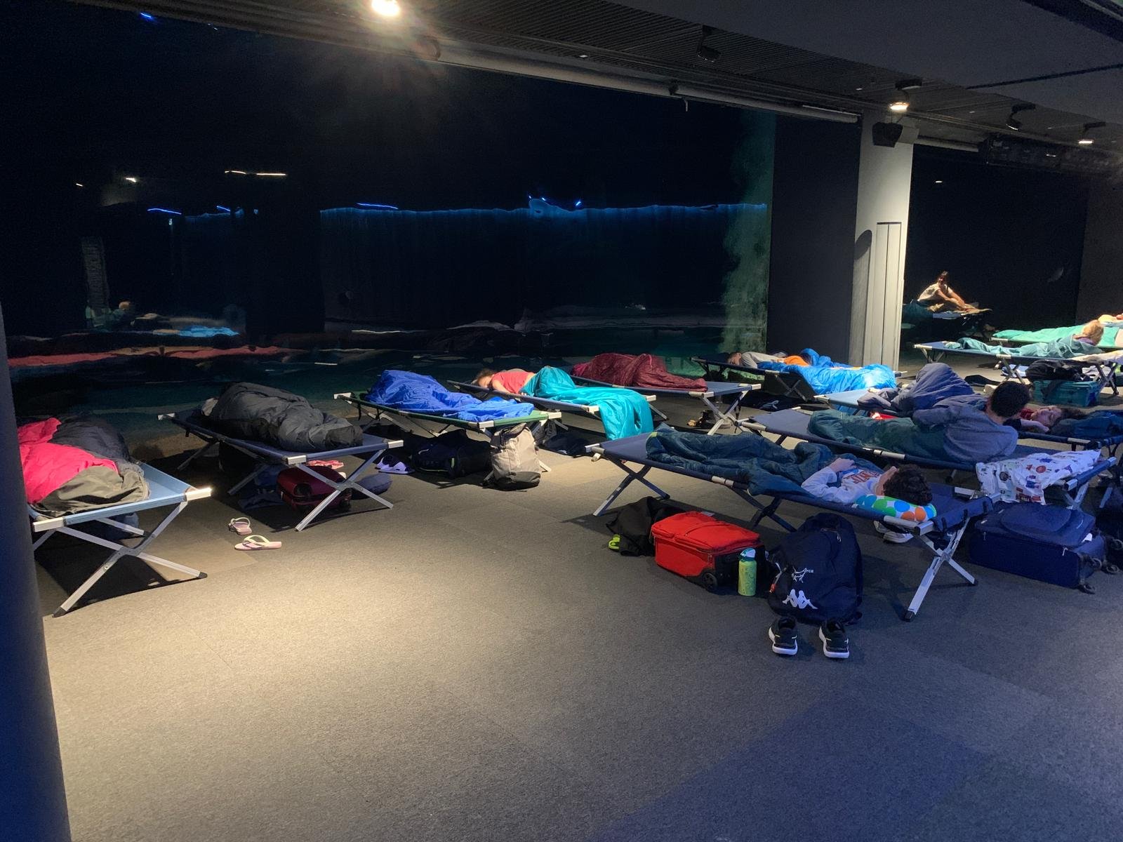Notte all’Acquario di Genova con gli alunni della scuola primaria durante il soggiorno didattico